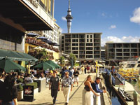 N_Island_Aukland_H023.jpg